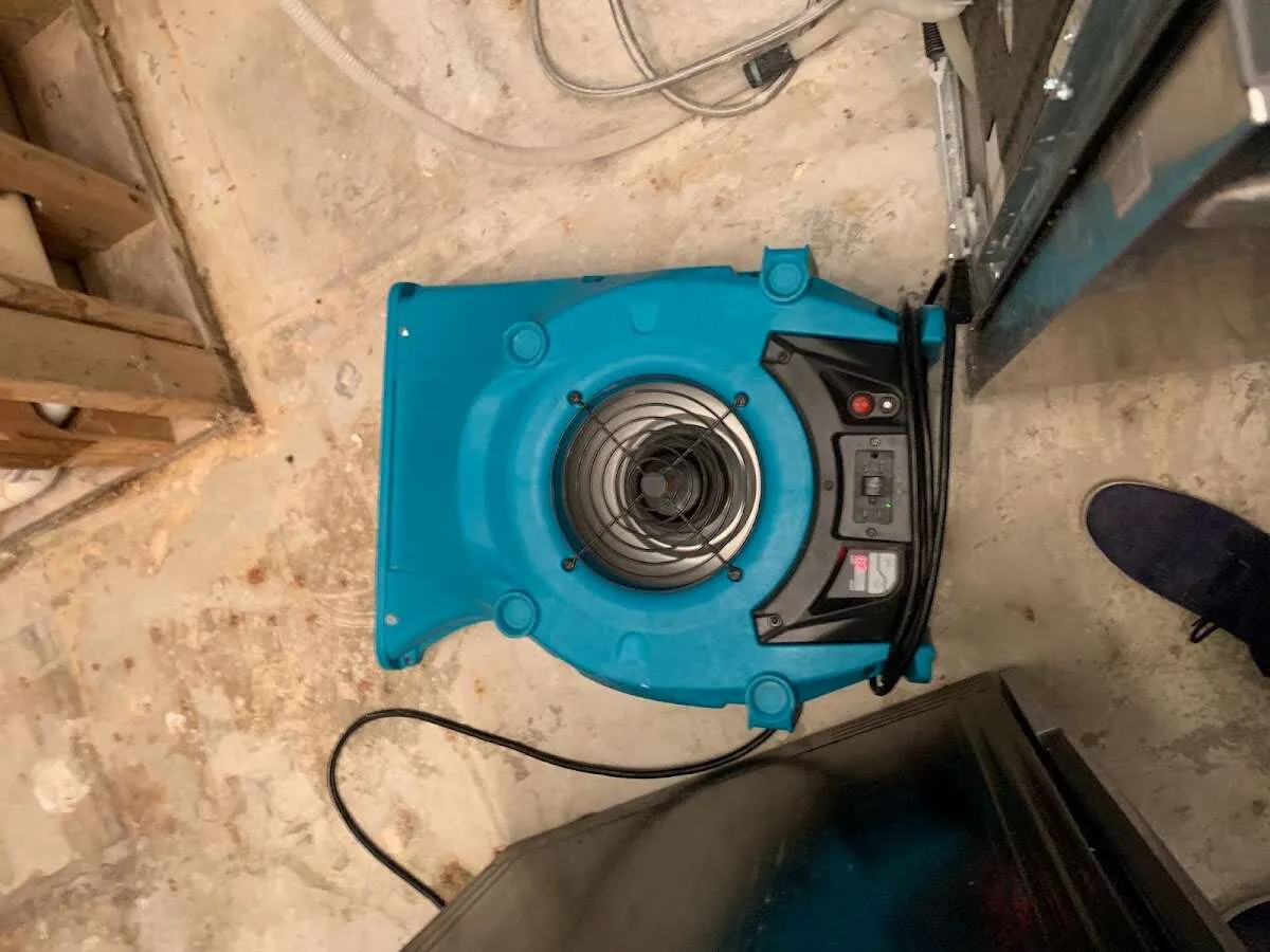 Air mover drying equipment for Mold Remediation & Removal in Northwood
